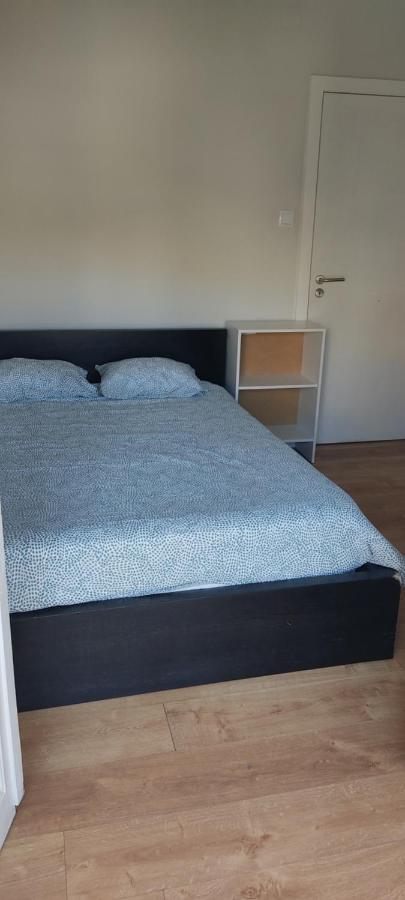 Guesthouse Porto Serpa Pinto Dış mekan fotoğraf